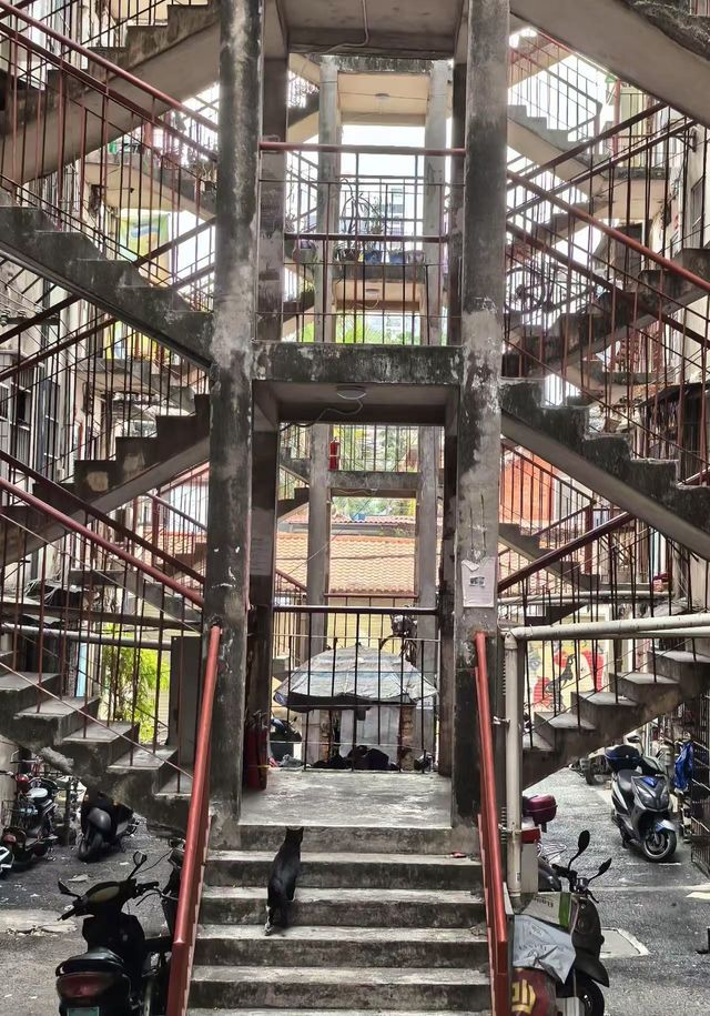南寧鸳鸯樓｜打卡全攻略，直接夢回老香港