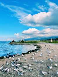 #最美青海湖  青海湖是中國最大的內陸鹹水湖，被譽為「高原藍寶石」，每年吸引無數遊客前來打卡。無論是