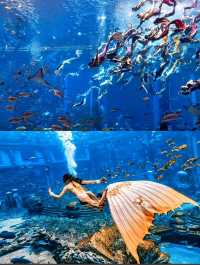 三亞亞特蘭蒂斯水族館高效遊玩攻略