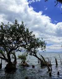 洱海漫遊指南：在140公里的湖光山色裡遇見大理的靈魂   深度玩法：分岸而治，解鎖洱海雙面風情  