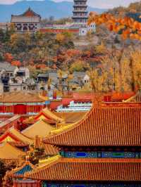 北京已返，真係唔介意再去，因為一去就唔想返