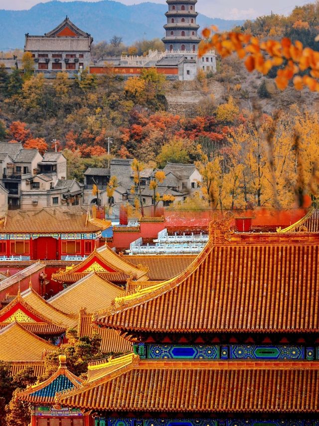 北京已返，真係唔介意再去，因為一去就唔想返