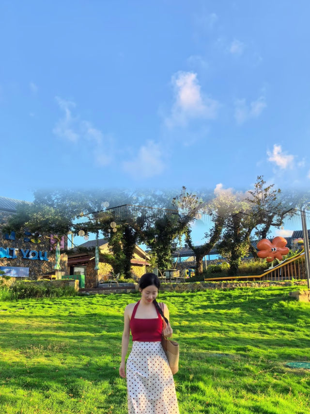 海島+古寺+竹林吸氧，玩轉台州！