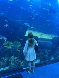 ✨DUBAI TRAVEL SERIES✨ - Part 1: Must-Know Tips for First-Timers!