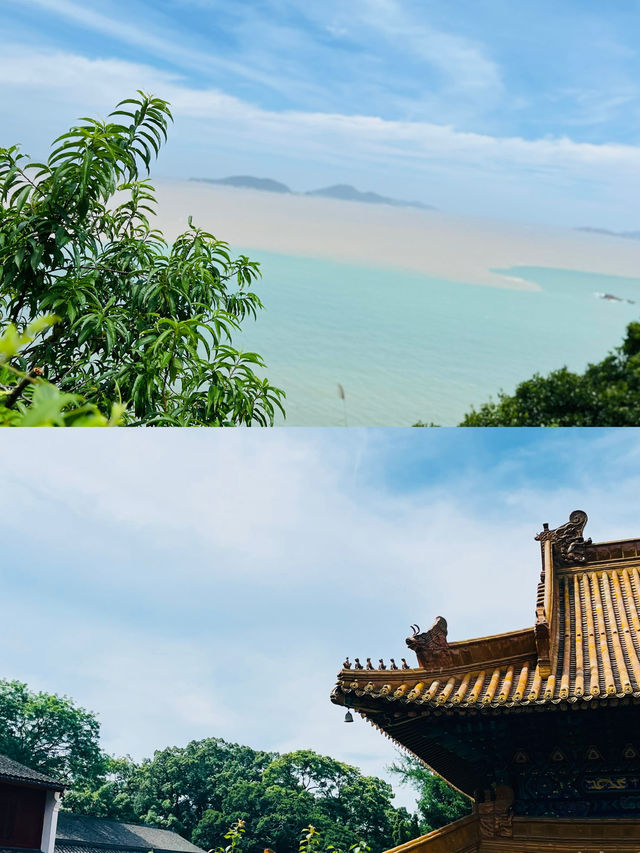 法雨寺打卡攻略｜海天佛國裡的千年禪韻