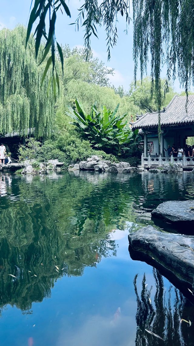 來濟南邂逅一場詩意的旅程吧！這座泉城既有大明湖的溫婉，又有千佛山的壯闊，更藏著讓你驚喜的美食~  