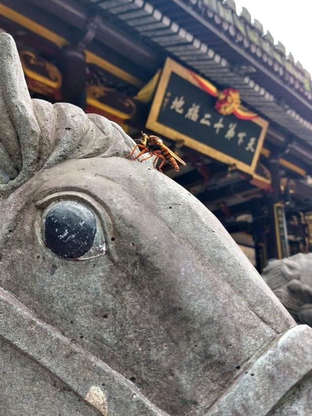 【陶公洞遊記：一個莊嚴的山洞】