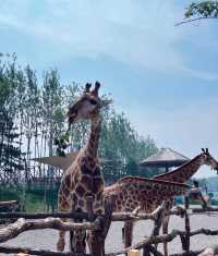 漁田七里海旅遊攻略