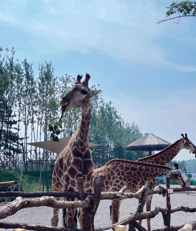 漁田七里海旅遊攻略