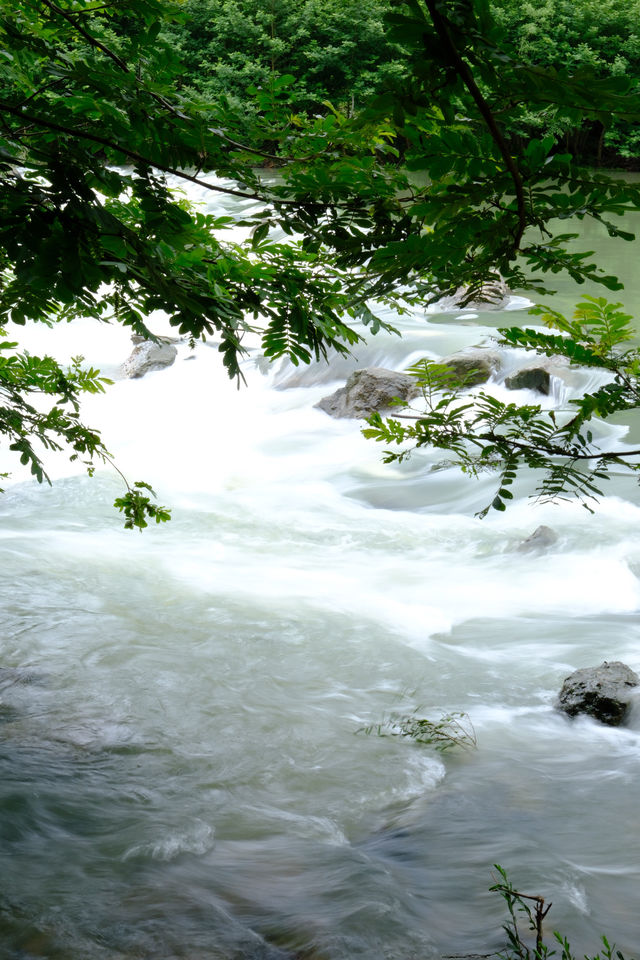 江浙滬避暑計劃！躲進永嘉書院的山水之間過23℃的夏天