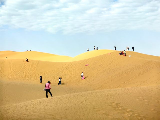 沙坡頭