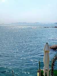 青島5日路線