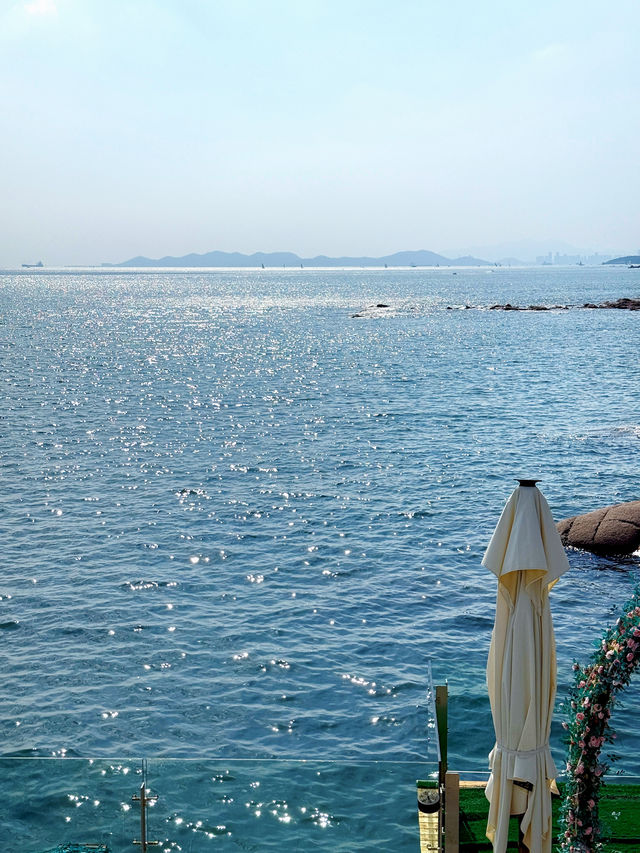 青島5日路線