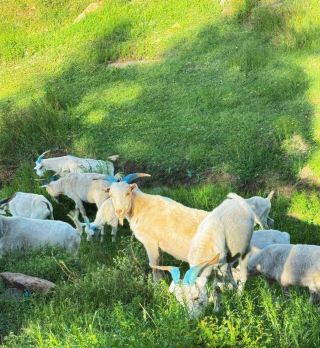 Drive to Dayingtu Village and start a romantic encounter between the grasslands and the village～