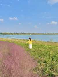 粉色海洋這裡將成為西安10月最浪漫的地方