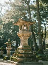 奈良公園手記｜在神鹿與古寺間收藏唐朝遺落的時光