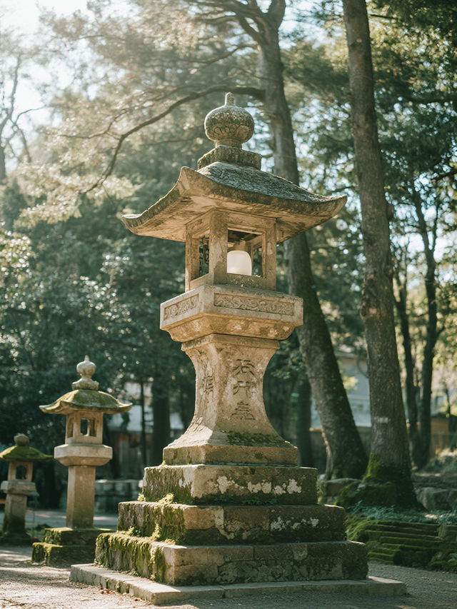奈良公園手記｜在神鹿與古寺間收藏唐朝遺落的時光