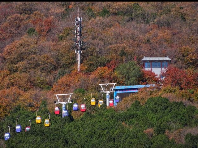 北京彩葉進入最佳觀賞期，這份秋日打卡攻略請收好！