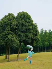 在成都！！唯一想去無數次的森林公園！！！