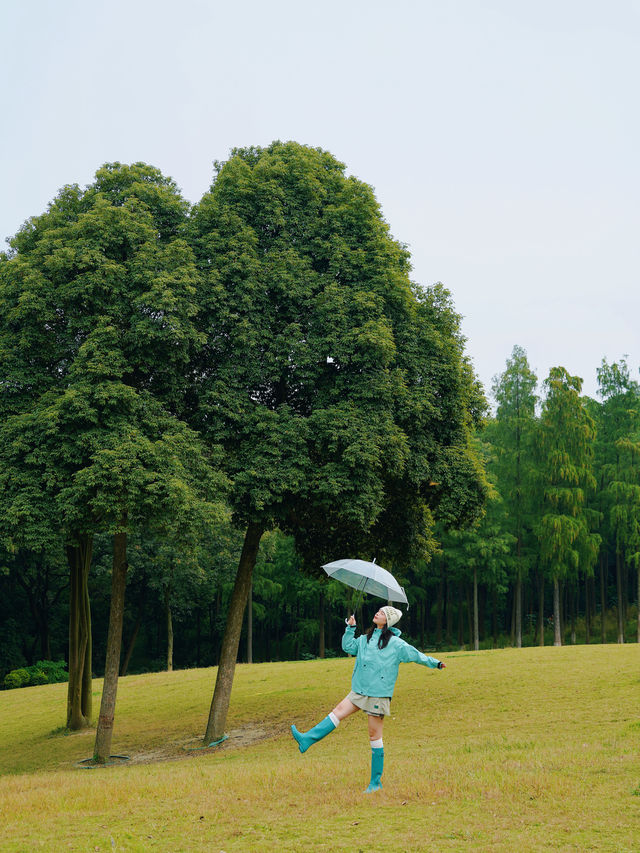 在成都！！唯一想去無數次的森林公園！！！