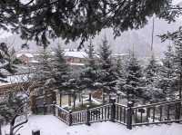 雪鄉今冬夢幻之旅開啟