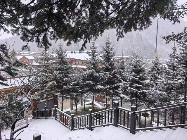 雪鄉今冬夢幻之旅開啟