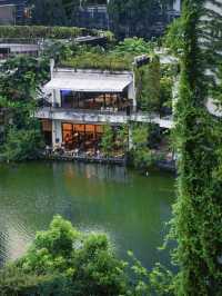 深圳綠野仙蹤建議感覺能量低的人都去趟這裡