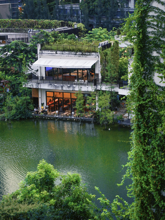深圳綠野仙蹤建議感覺能量低的人都去趟這裡