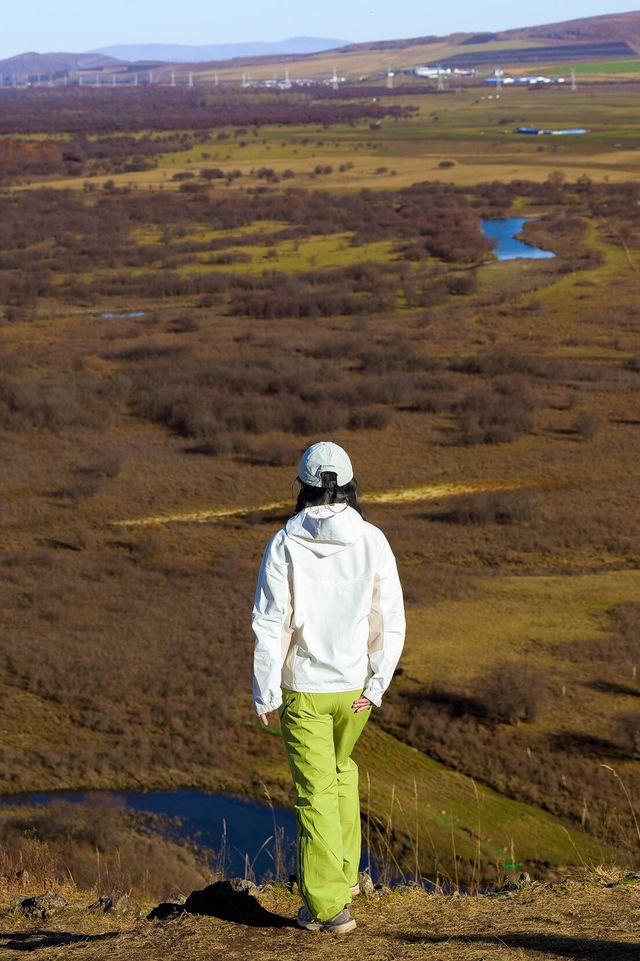 額爾古納濕地~十月，葉片凋零，而我鮮明
