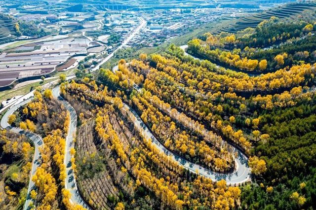 【定西探秘】這座藏在甘肅的寶藏城市，等你來發現！