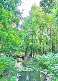 寧波的一個公園，我經常去真喜歡—日湖公園