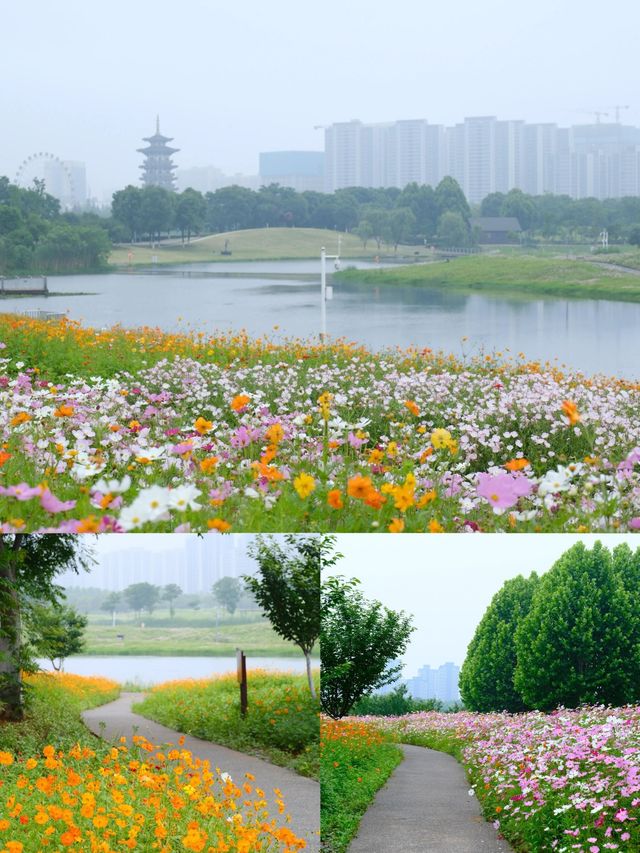 長沙秋日限定10月不能錯過的莫奈花園! 長沙秋日限定10月不能錯過的莫奈花園!