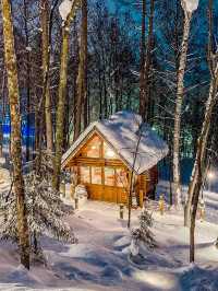 北海道6天5晚赴一場粉雪與藍調之約