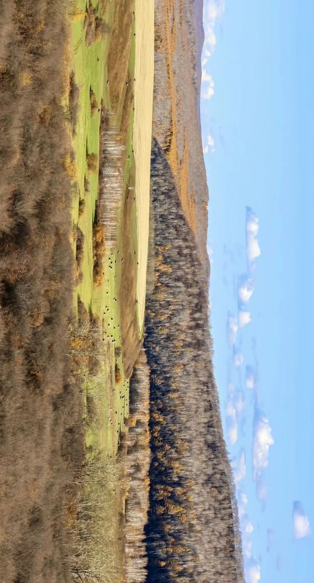 最美秋色——大興安嶺