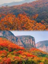 邯鄲紅葉景點推薦｜秘境天花板5處絕美人少賞秋地大