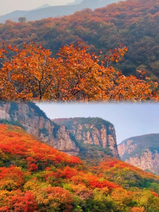 邯鄲紅葉景點推薦｜秘境天花板5處絕美人少賞秋地大
