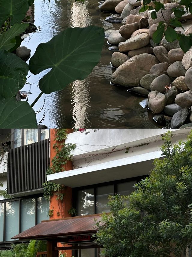 60㎡夢中情房｜無濾鏡實況圖live