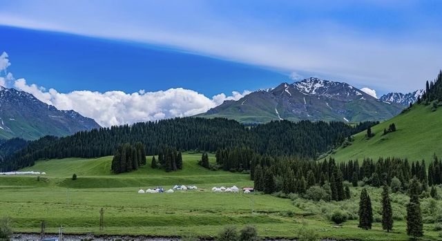 簡直震驚了 新疆這個小眾景點被我找到啦!唐布拉百里畫廊太美啦 簡直震驚了 新疆這個小眾景點被我找到啦!唐布拉百里畫廊太美啦