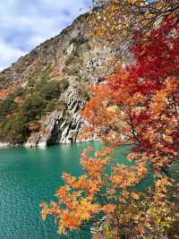 秋日松坪溝賞楓全攻略