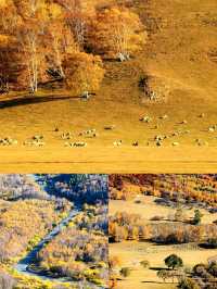 壩上秋色絕美打卡點，這個季節最適合