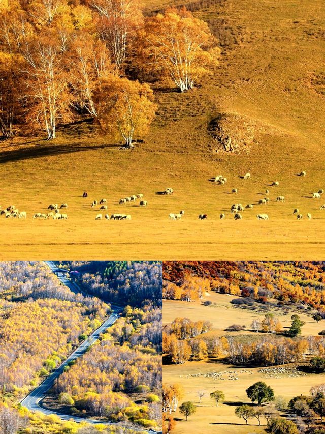 壩上秋色絕美打卡點，這個季節最適合