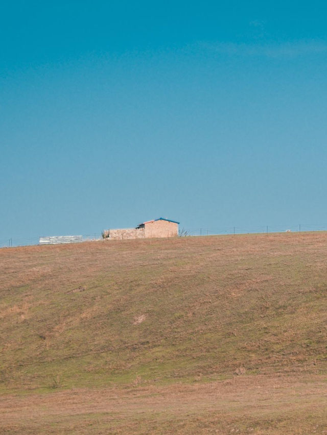 新疆昭蘇濕地：80%遊人錯過的秋日秘境，四景封神