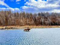 深秋阿爾山騎馬逐浪邂逅大興安嶺最美秋天