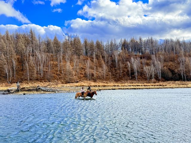 深秋阿爾山騎馬逐浪邂逅大興安嶺最美秋天
