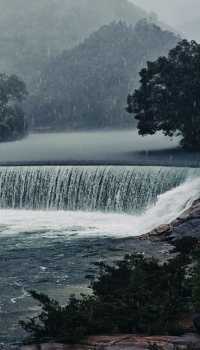 大紅袍品茶體驗