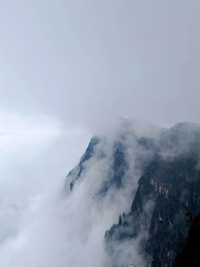 峨眉山今日照片｜雲海奇觀，運氣爆棚！