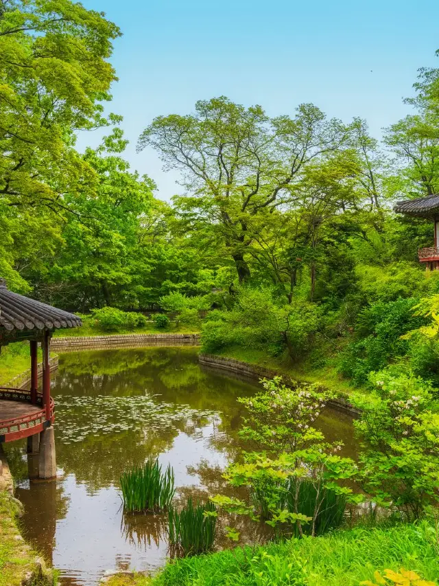 韓國5大必去目的地10大玩法