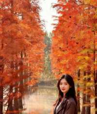 初冬限定洪澤湖濕地絕美勝境|小眾仙境打卡指南