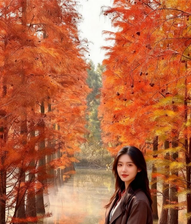 初冬限定洪澤湖濕地絕美勝境|小眾仙境打卡指南 初冬限定洪澤湖濕地絕美勝境|小眾仙境打卡指南