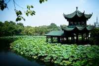 自貢怎麼玩?這份「鹹鹹的」攻略帶你逛吃「龍宮」和燈海!